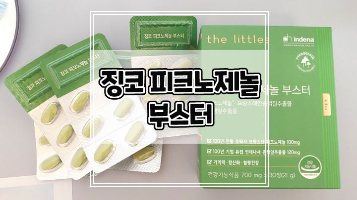  더리틀스 징코 피크노제놀 부스터로 기억력과 혈행개선에 추천해요