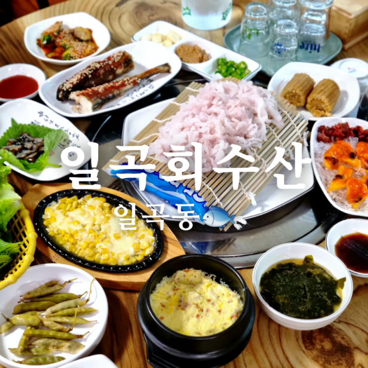  하모회가 푸짐한 광주 일곡동 맛집 일곡회수산
