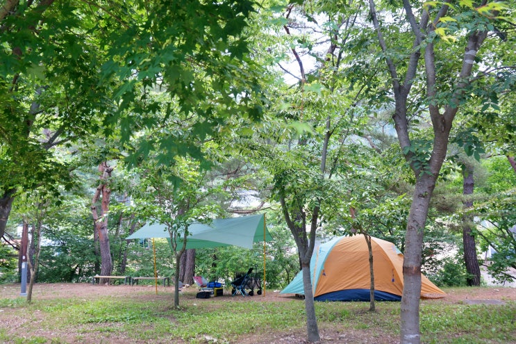 상주 문장대야영장 예약 없는 선착순 캠핑장