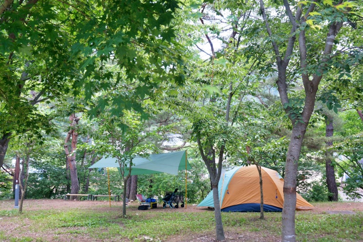 상주 문장대야영장 예약 없는 선착순 캠핑장