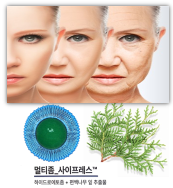  노화의 주범 활성산소