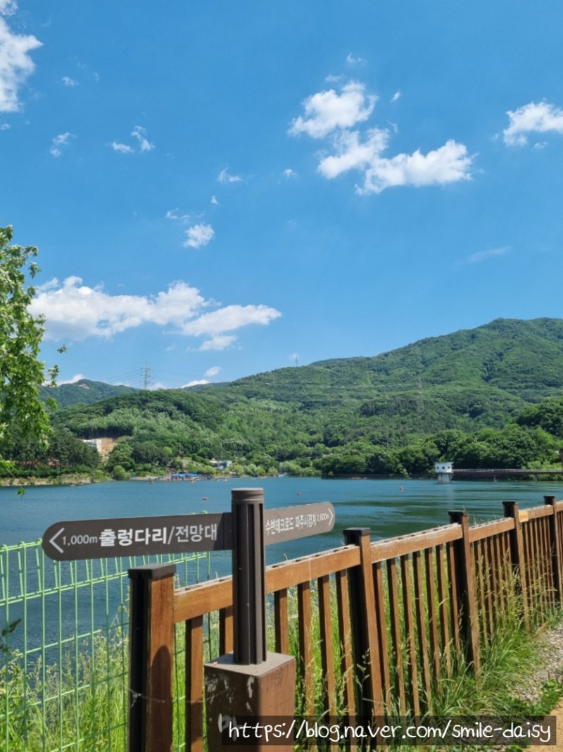 파주 가볼 만한 곳· 마장호수 출렁다리 · 수중 자전거와 올챙이 : 네이버 블로그