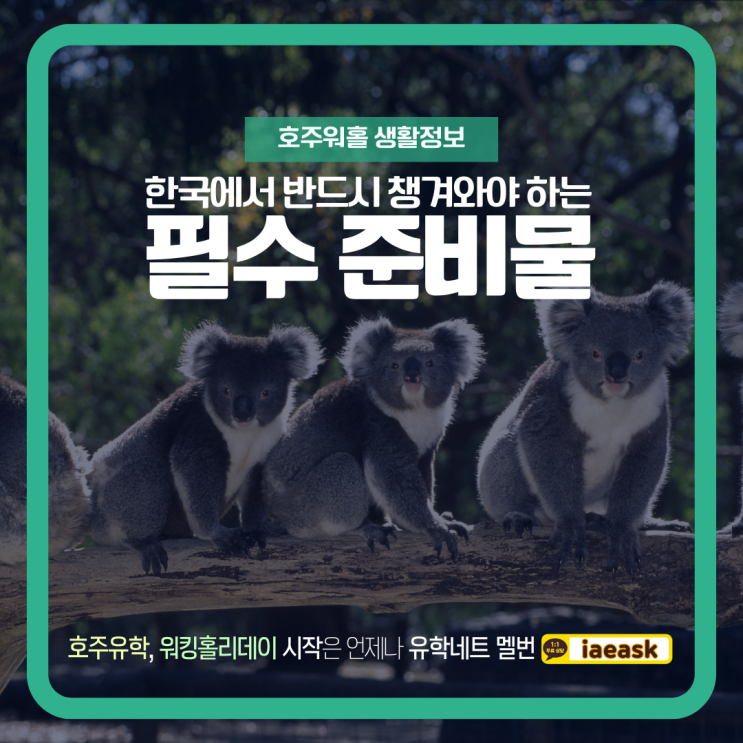  호주 워홀러 출국 전 한국에서 이것 만큼은 반드시 준비해오자! (유학네트 멜버른)