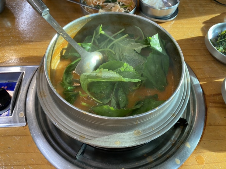  파주 심학산 맛집 청산어죽 또간집 찐후기