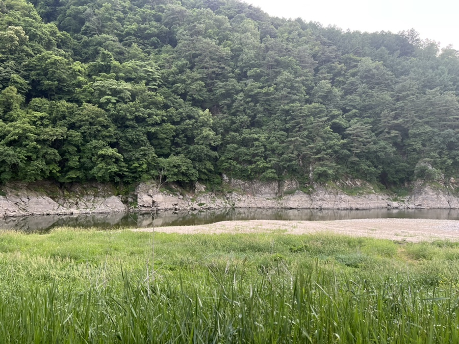 일흥가든 사진 2