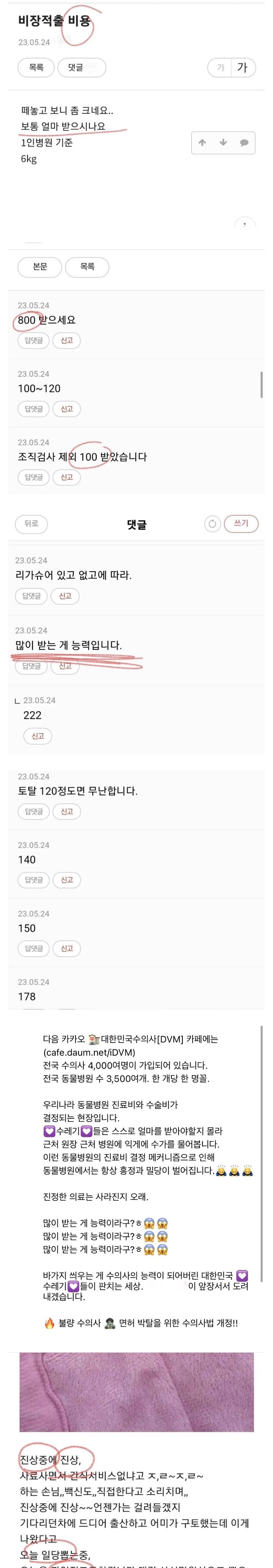  동종업계 사람이 유출시킨 수의사 커뮤니티
