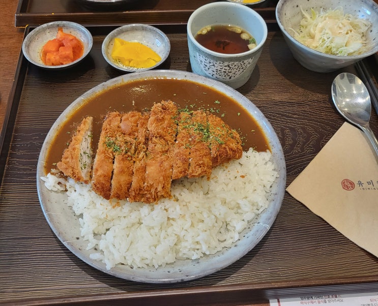 안양 돈까스 맛집 유미카츠 카츠카레 내돈내산 안양 아이에스비즈타워점