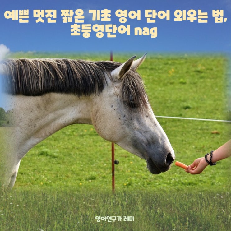 예쁜 멋진 짧은 기초 영어 단어 외우는 법, 초등영단어 nag 예쁜 멋진 짧은 기초 영어 단어 외우는 법, 초등영단어 nag