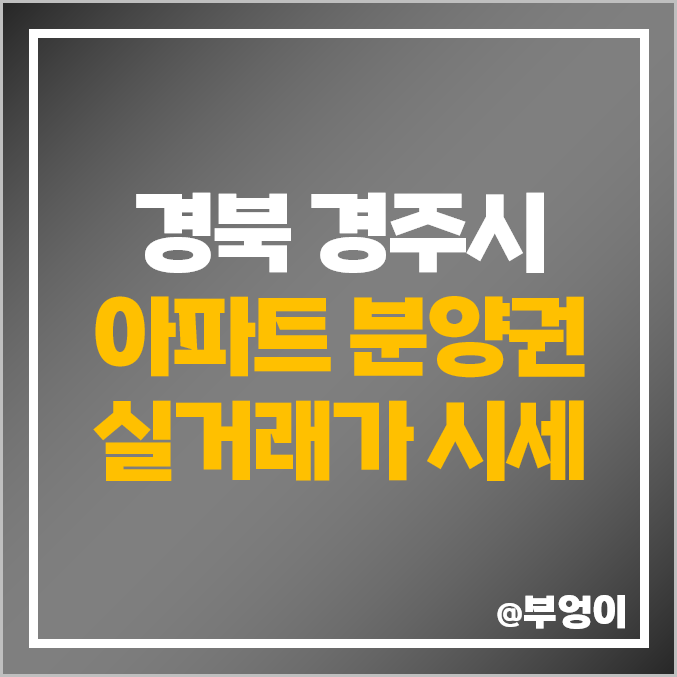 경북 경주시 아파트 분양권 매매 가격 순위 : 실거래가, 평당 제일 비싼 부동산 시세 - 경주 자이르네, 뉴센트로 에일린의 뜰 경북 경주시 아파트 분양권 매매 가격 순위 : 실거래가, 평당 제일 비싼 부동산 시세 - 경주 자이르네, 뉴센트로 에일린의 뜰