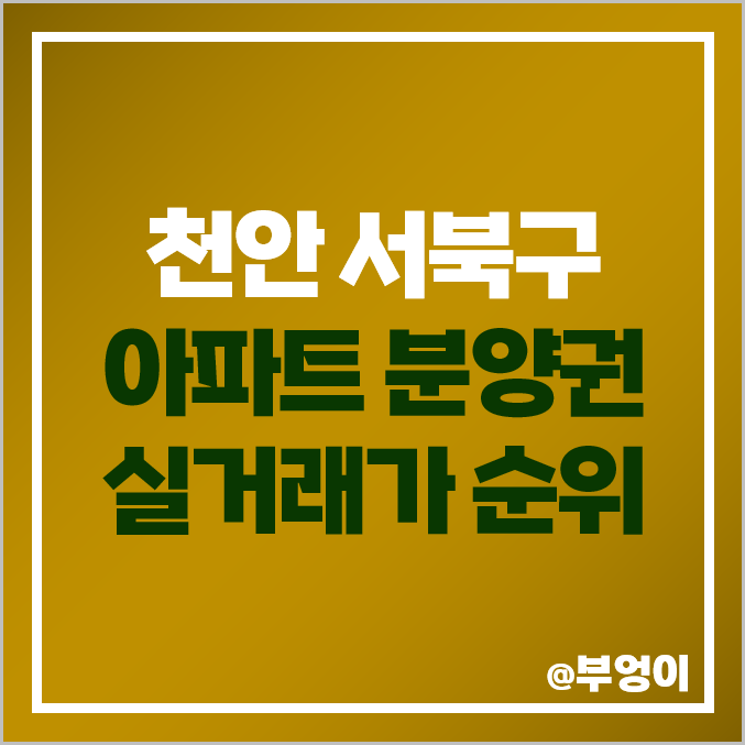 천안 서북구 아파트 분양권 매매 가격 순위 : 두정 포레나 한화 천안노태, 롯데캐슬, 성성 비스타동원, 푸르지오 레이크사이드 천안 서북구 아파트 분양권 매매 가격 순위 : 두정 포레나 한화 천안노태, 롯데캐슬, 성성 비스타동원, 푸르지오 레이크사이드