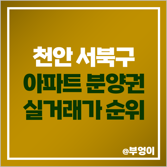 천안 서북구 아파트 분양권 매매 가격 순위 : 두정 포레나 한화 천안노태, 롯데캐슬, 성성 비스타동원, 푸르지오 레이크사이드