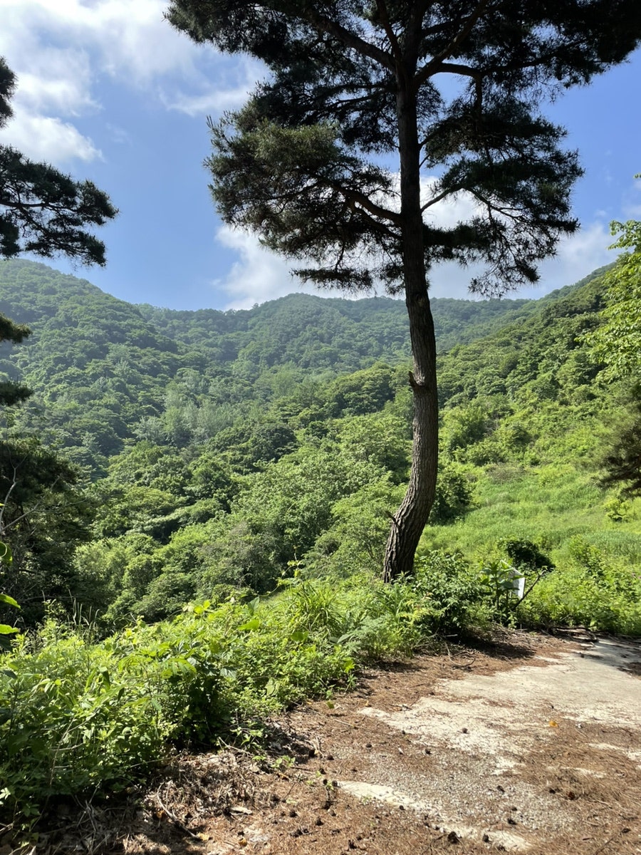 용추제 사진 2