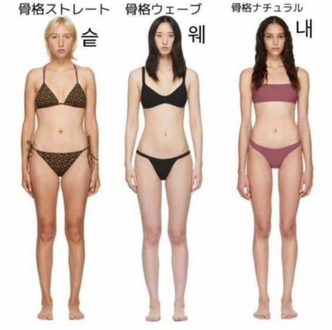 여자 체형 종류