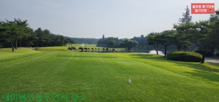  경기 여주 금강CC 서, 남코스 2023년 6월초 라운딩 후기