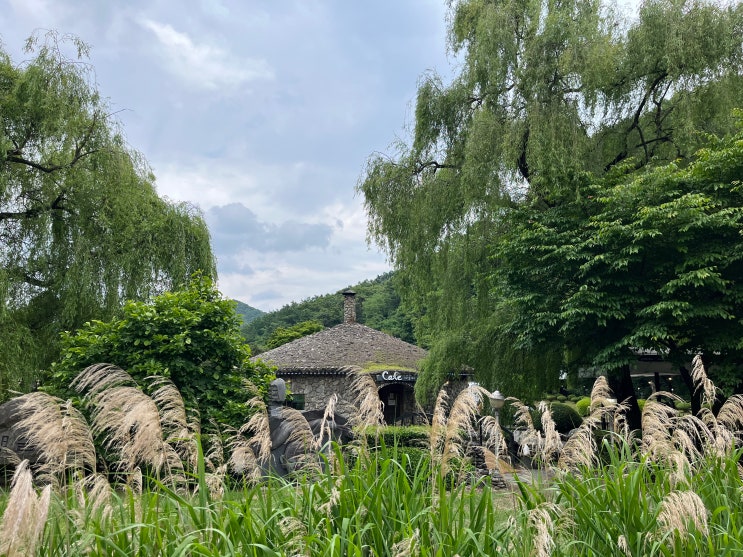 파주 *초리골164 카페* 뷰 좋은 멋진 야외정원 오리와 알파카/ 산책 나들이 가볼만한곳 파주 *초리골164 카페* 뷰 좋은 멋진 야외정원 오리와 알파카/ 산책 나들이 가볼만한곳