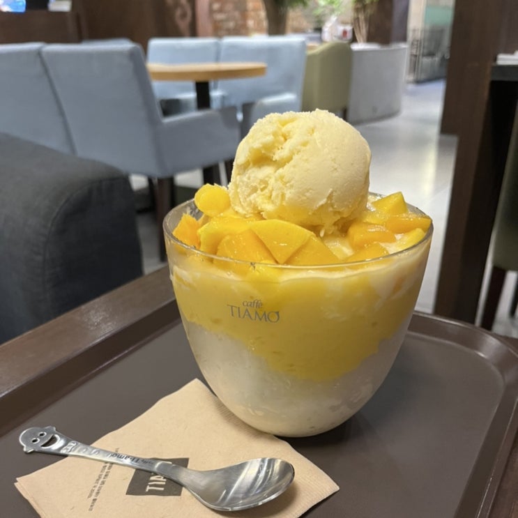 [청주] 계속되는 망고 빙수 탐방, 충북대 근처 카페 띠아모 사창점에서 망고 빙수 먹고 왔어요!