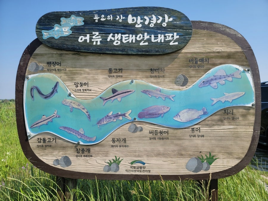옴서감서 사진 6