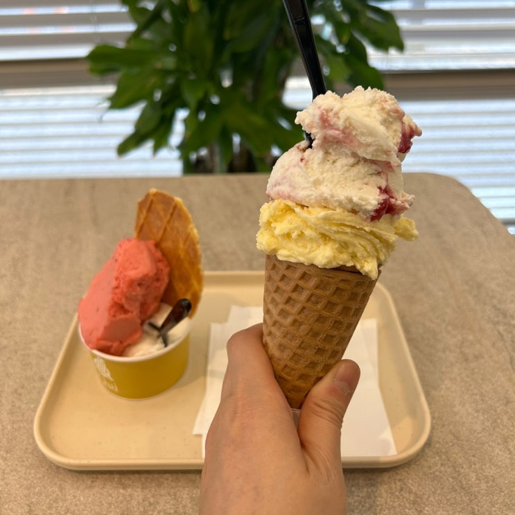  [광주 수완동] 젤라또/수완지구 카페/젤라또 맛집 카페꾸이(Qui)