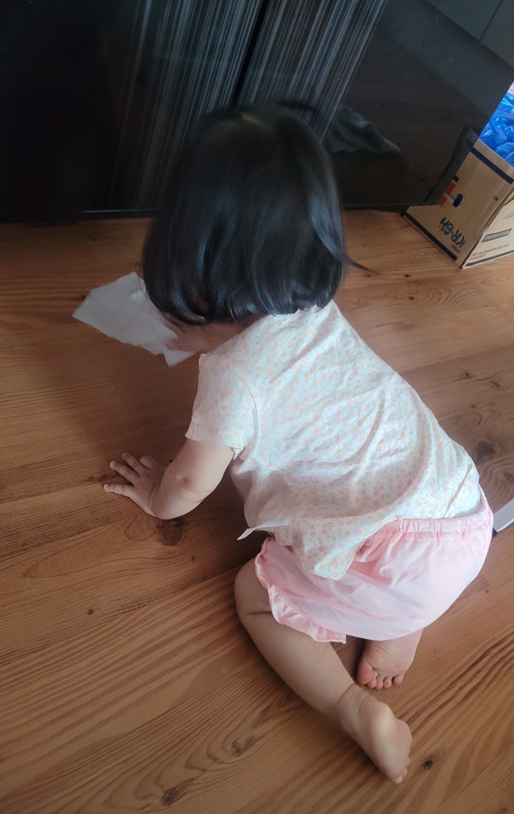  청소를 잘 하는 양또깡
