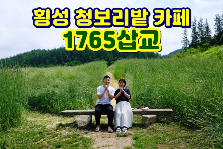  [횡성 둔내 카페] '1765삽교' 넓은 청보리밭이 숨어있는 리틀포레스트 감성카페 인스타핫플