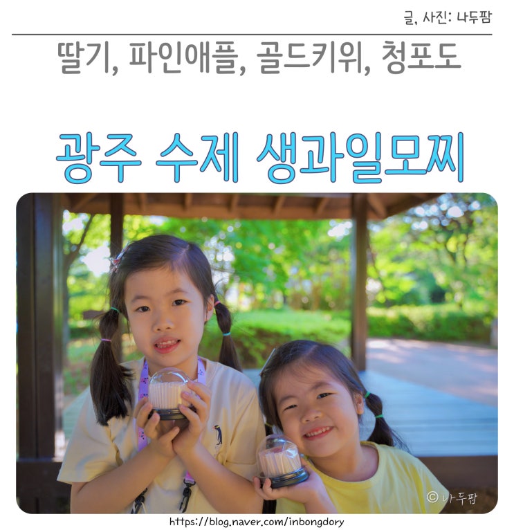  광주 과일모찌, 생과일로 직접 만드는 수제 딸기떡 cafe마카리조