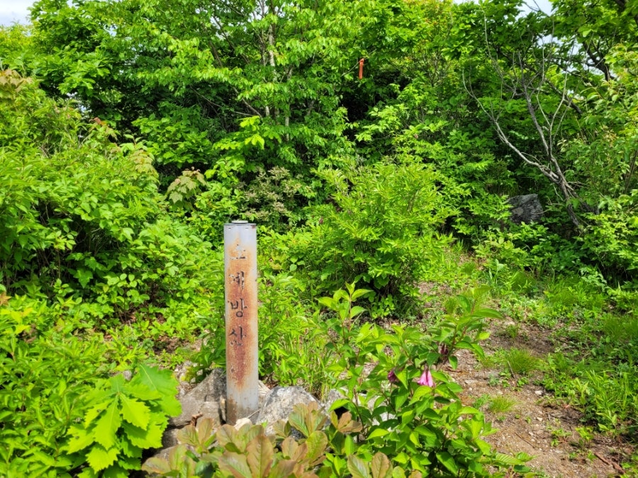 대골 사진 1