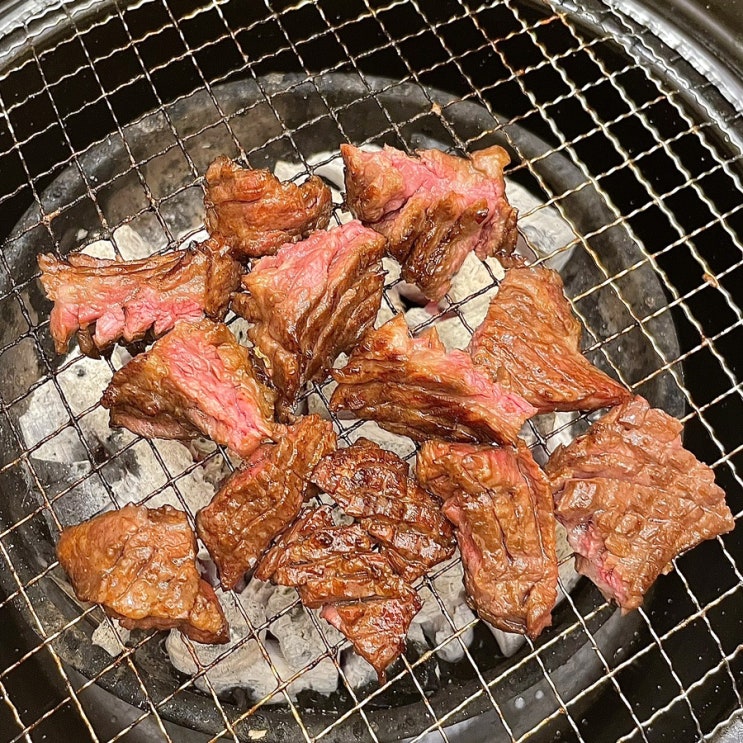광주 수완지구 분위기 좋은 고기집 추천 더청솔 (상견례, 단체 모임에 제격) 광주 수완지구 분위기 좋은 고기집 추천 더청솔 (상견례, 단체 모임에 제격)