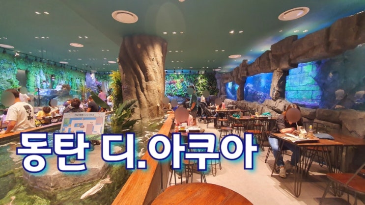  동탄 디아쿠아 동탄점 롯데백화점 수족관 아쿠아리움 카페