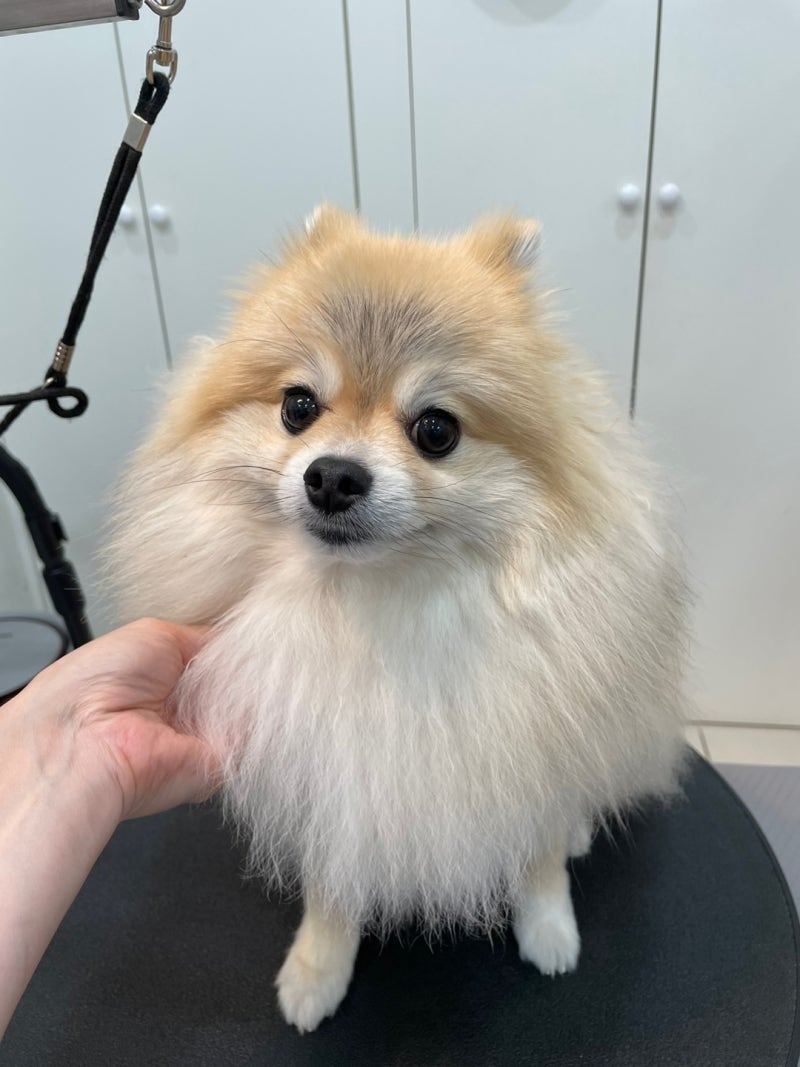 사진 4