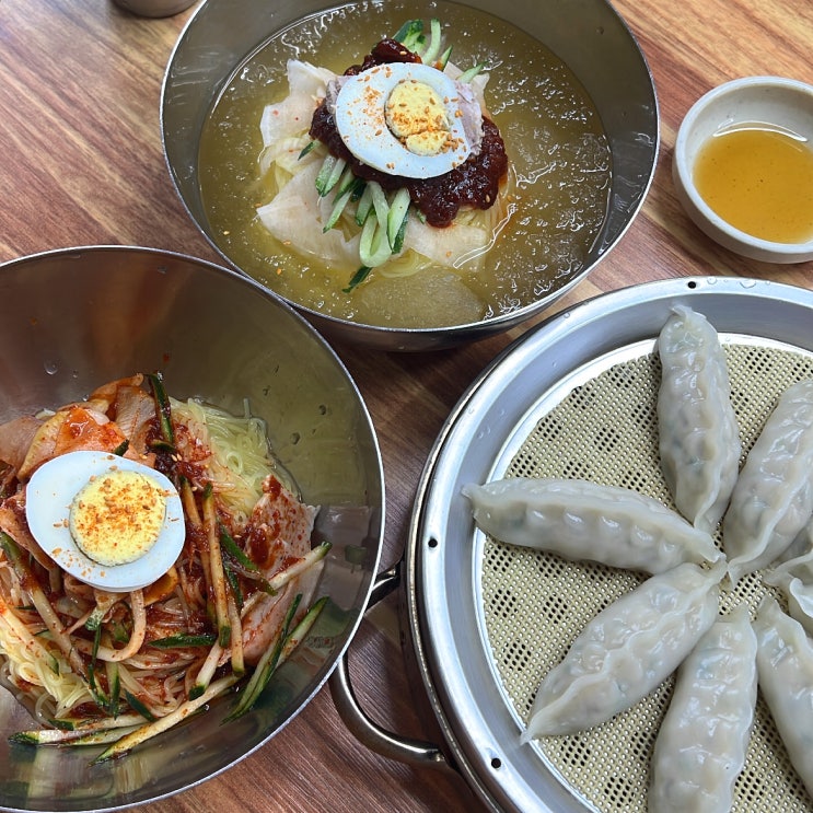 [경주황리단길맛집] 대릉원 근처 시원한 밀면 찐맛집 "고향밀면 본점" 방문후기!!