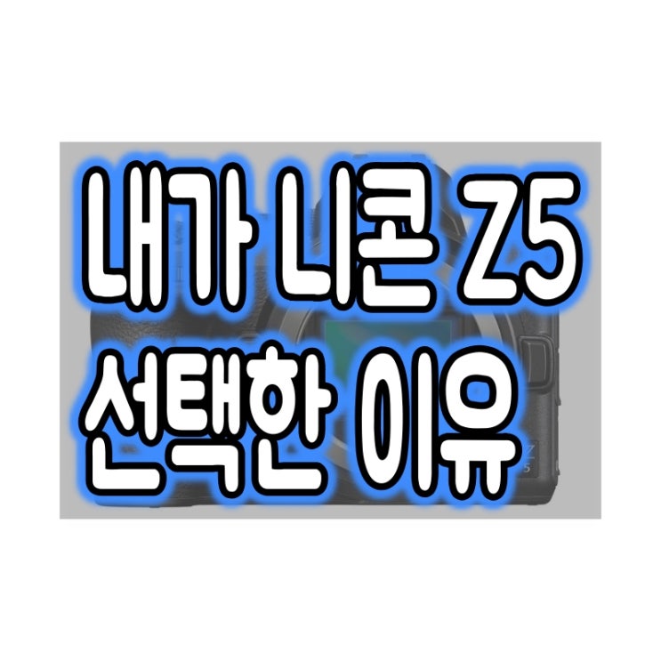  내가 니콘 Z5를 선택한 이유