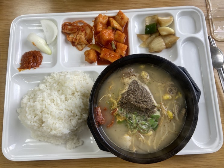  아라동 맛집 제주대 교수회관 구내식당 고기 국수와 돼지국밥이 가성비 좋아
