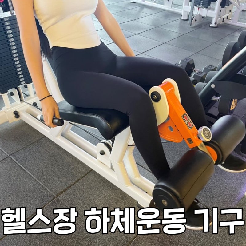 헬스기구이름 여자 남자 하체운동기구 헬스루틴 이걸로 정복! : 네이버 블로그
