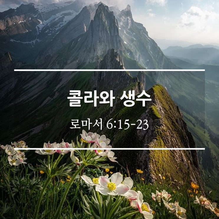  콜라와 생수 / 롬 6:15-23