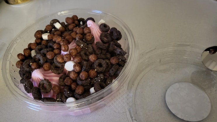  디저트 맛집 영통 요거트 월드