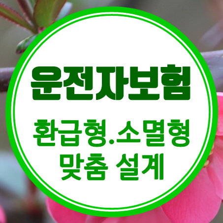  운전자보험 금액 비교 비갱신 운전자보험 환급 소멸성 가입조건 알아보고 결정하세요.