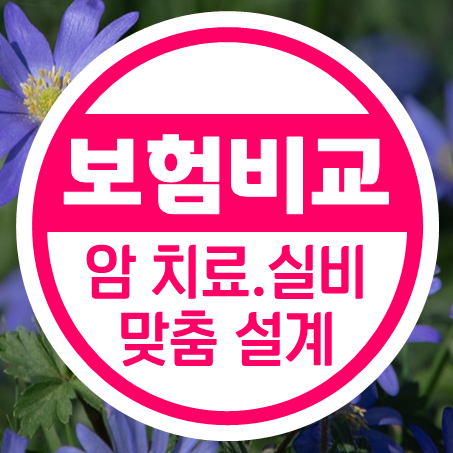  인터넷암보험 가입 조건 비교 온라인으로 인터넷실비보험 추천 받아보세요.