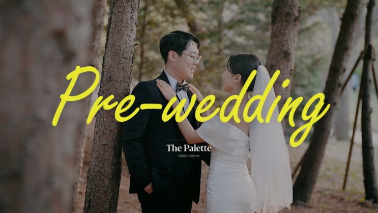  벚꽃 날리는 봄날의 웨딩 리허설 촬영, 프리웨딩, 데이트영상, 웨딩영상 #더팔레트필름
