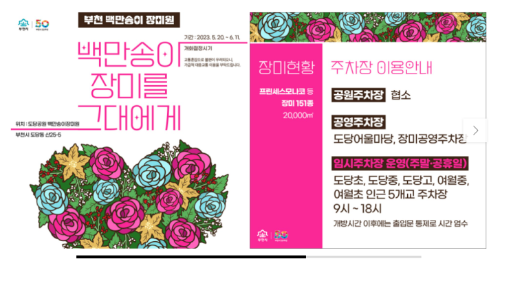  6월 부천 가볼만한곳 백만송이 장미축제 이번주가 마지막