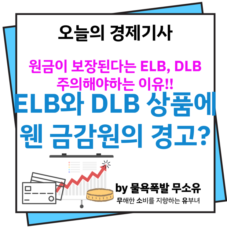 ELB DLB 상품과 금감원의 경고, 왜?
