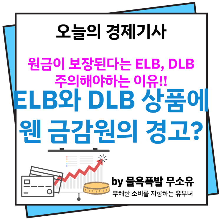 ELB DLB 상품과 금감원의 경고, 왜? ELB DLB 상품과 금감원의 경고, 왜?
