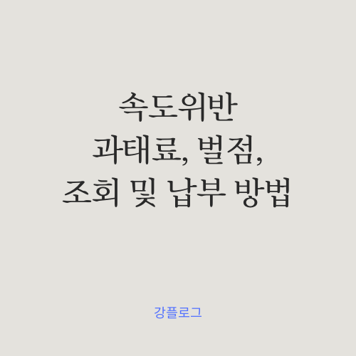  자동차 속도위반 과태료 벌 납부방법 및 조회방법을 알아보자