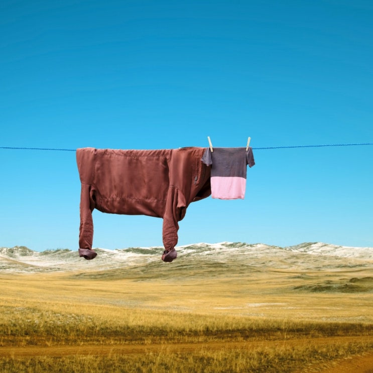  Morning Gallery "헬가 스텐첼 시각예술가"