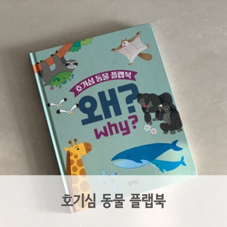  블루래빗 생생자연관찰 호기심 동물 플랩북