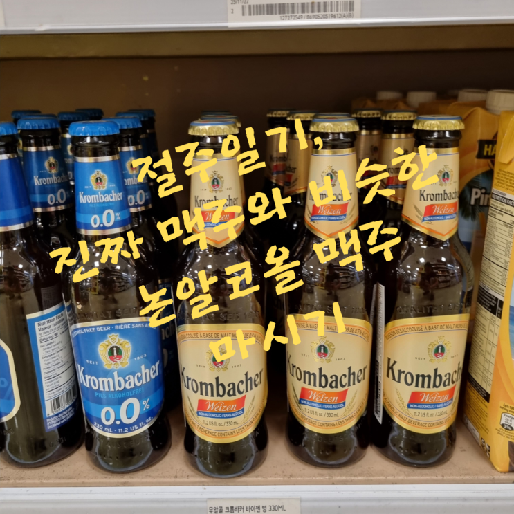  절주일기_진짜 맥주와 비슷한 논알코올 맥주 마시기