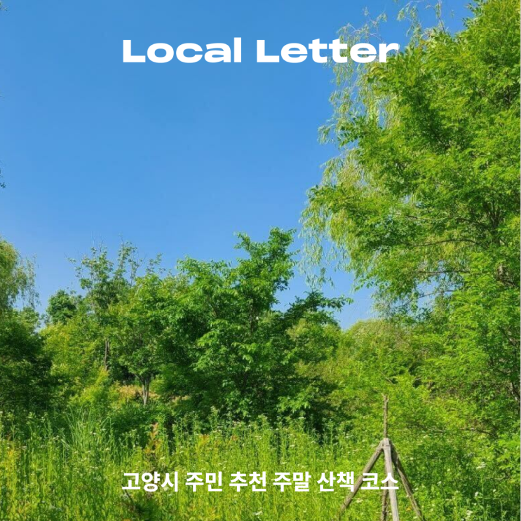  [Local Letter] 고양시 주민 추천 주말 산책 코스