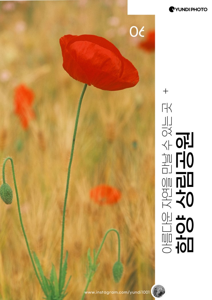 함양가볼만한곳 함양상림공원 함양가볼만한곳 함양상림공원