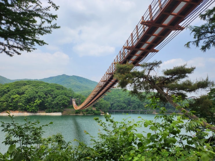 [경기도/파주] 마장호수 출렁다리와 둘레길