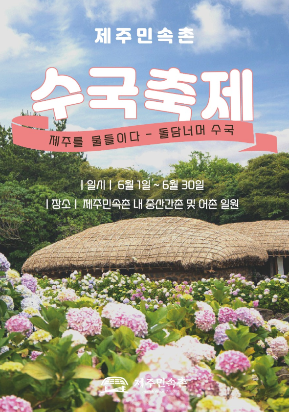  제주민속촌에서 열리는 수국축제 6월 제주가볼만한곳