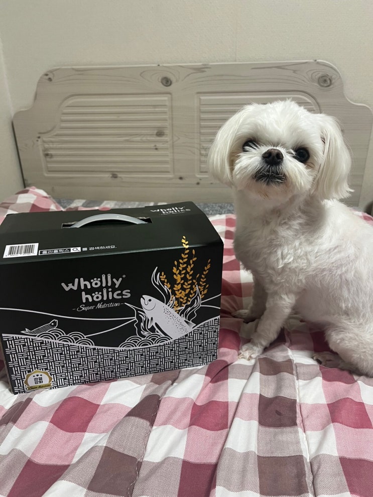  강아지관절사료 홀리홀릭스 슈퍼뉴트리션 기호성 좋아요